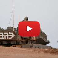 IDF soldiers
