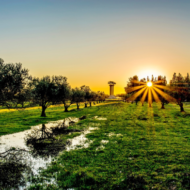 Kibbutz Ramat Rachel