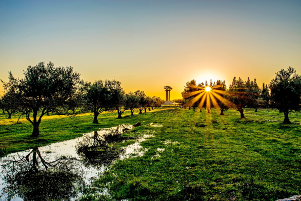 Kibbutz Ramat Rachel