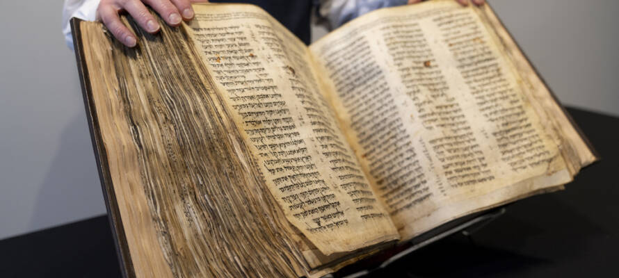 codex sassoon