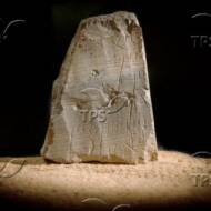 The tablet