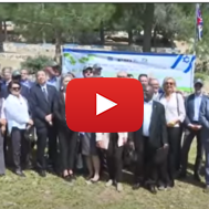 75 Ambassadors Plant 75 Trees in Israel