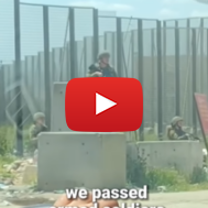 Israel hater's social media story