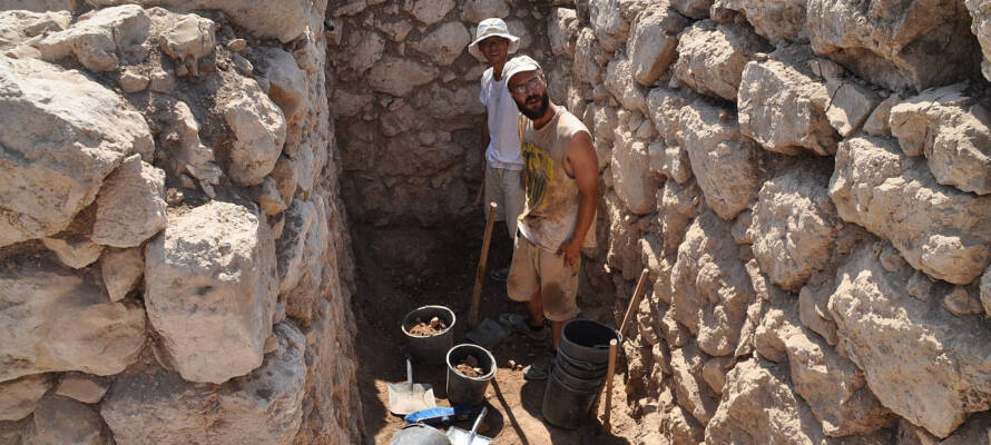 Khirbet Qeiyafa, Archaeological Finds