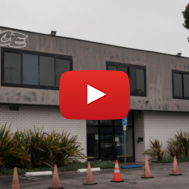 Vice News