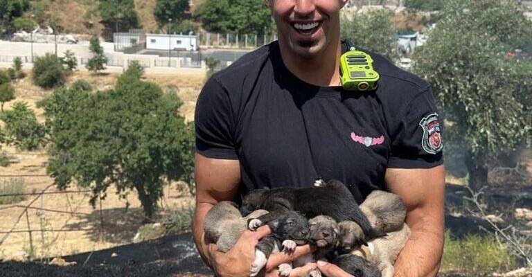 Firefighter with puppies he saved