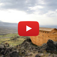 noahs ark