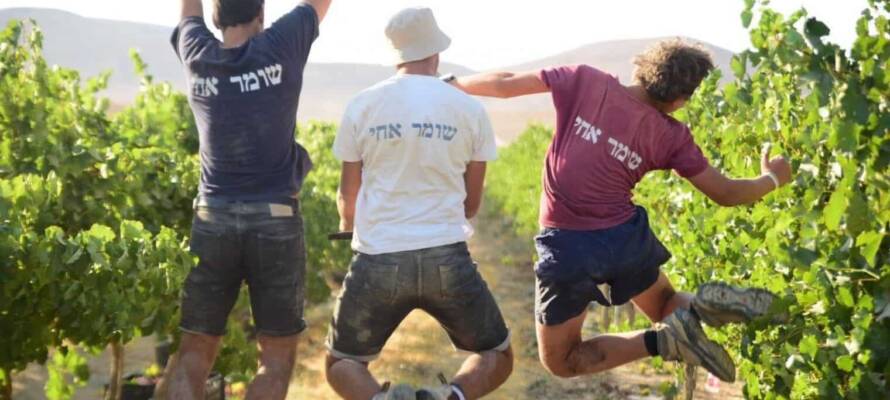 HaShomer HaChadash