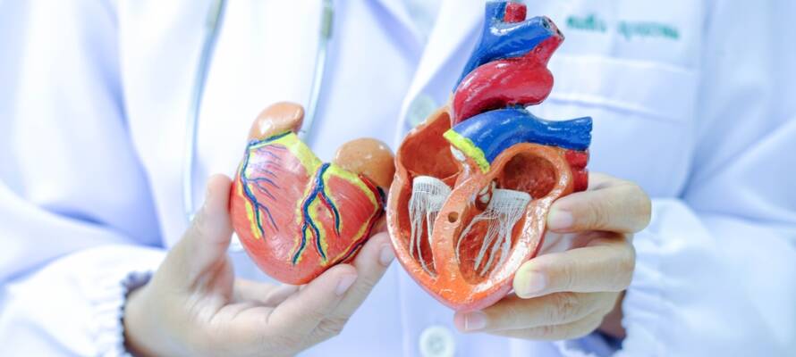 heart