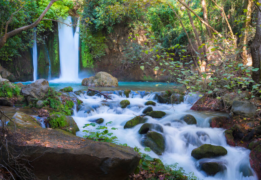 Nahal,Hermon,Nature,Reserve,(banias),-,The,Largest,,Most,Powerful