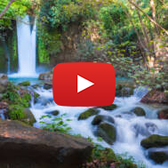 Nahal,Hermon,Nature,Reserve,(banias),-,The,Largest,,Most,Powerful