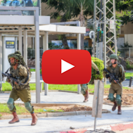 IDF soldiers