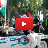 anti-israel protesters
