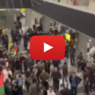 Pro-Hamas Mobs, Russia