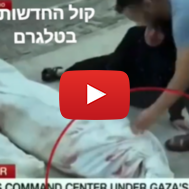 "Dead" Gazan