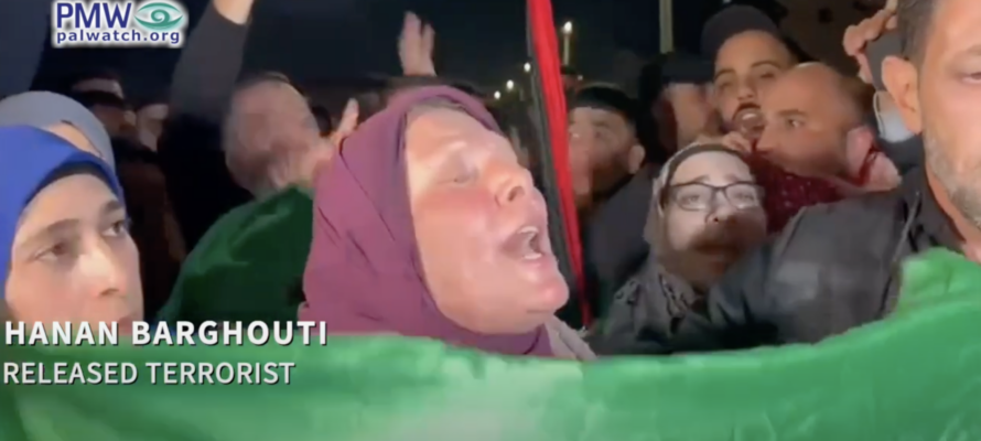 feamle terrorist