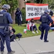Pro-Palestinian protest los angeles