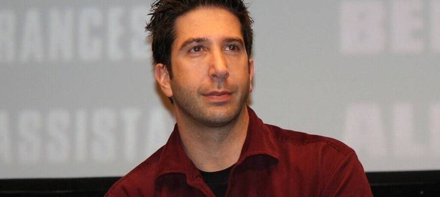 David Schwimmer