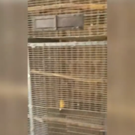 cage hostages hamas