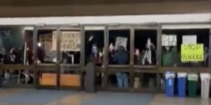 Pro Palestinian mob