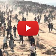 Arabs in Gaza