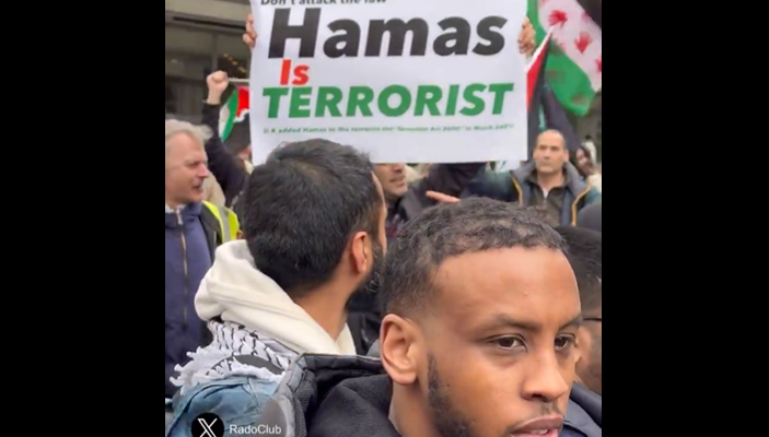 Anti-Hamas protestor