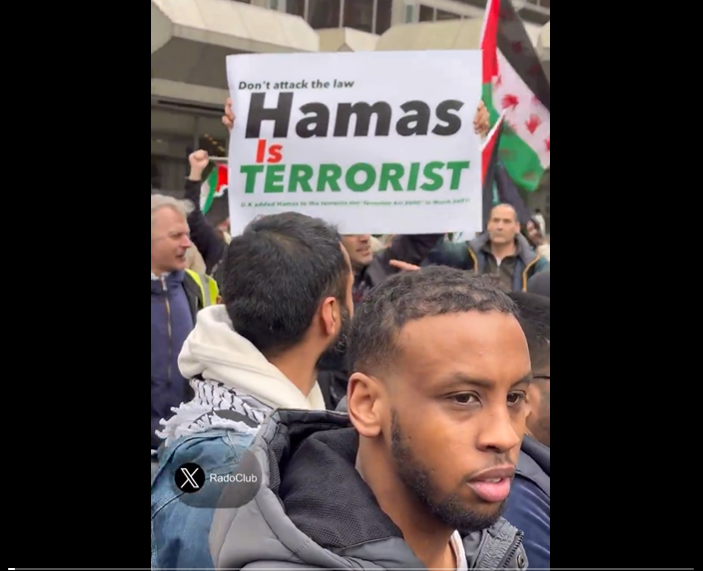 Anti-Hamas protestor