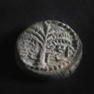 rare coin