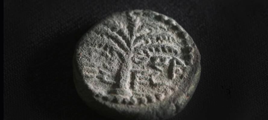 rare coin