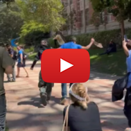 UCLA taser