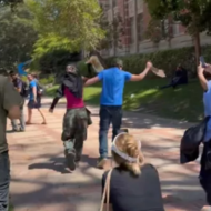UCLA taser