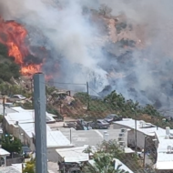 Wildfires
