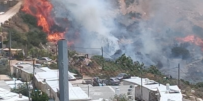 Wildfires