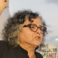 Joint Arab List MK Aida Touma-Sliman