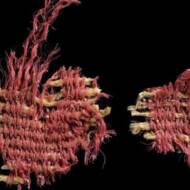 scarlet textile