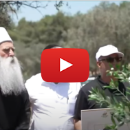 Druze