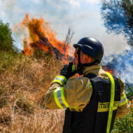 firefighters
