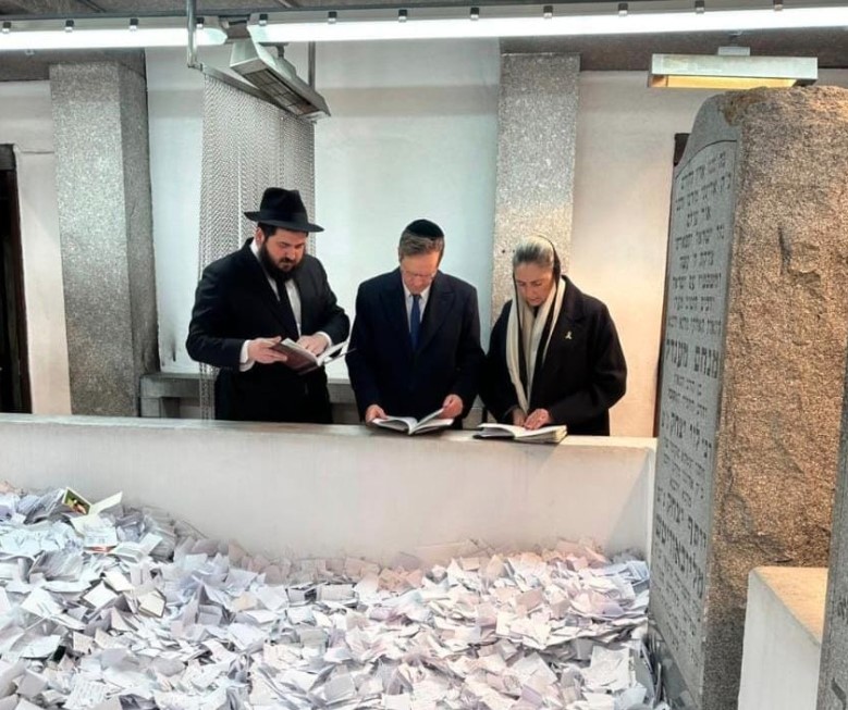 ohel herzog