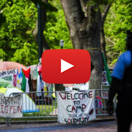 Anti-Israel Campus Protests