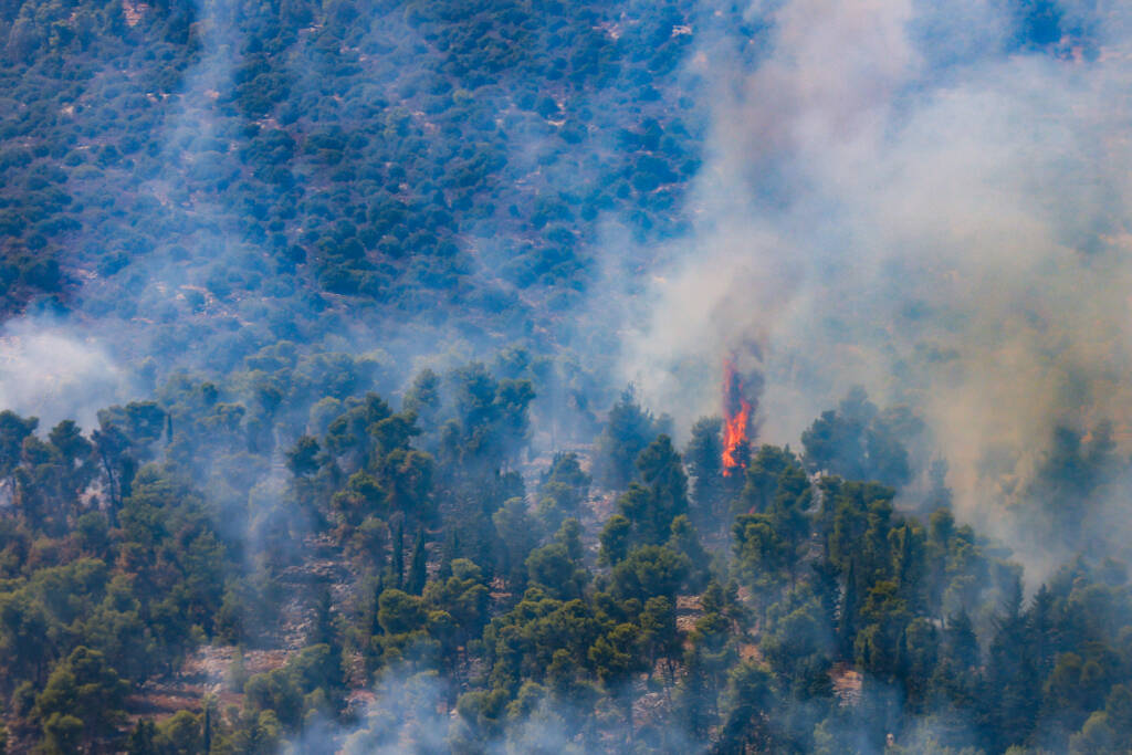 forest fire