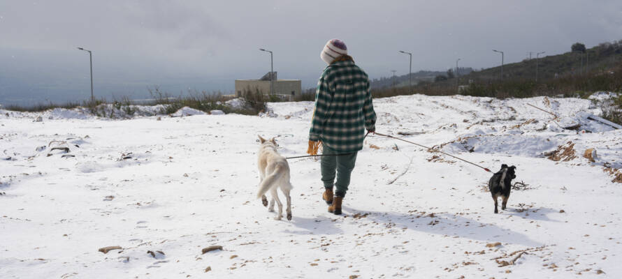snow
