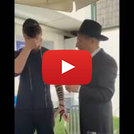 sasha tefillin