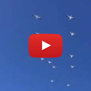 Pelicans