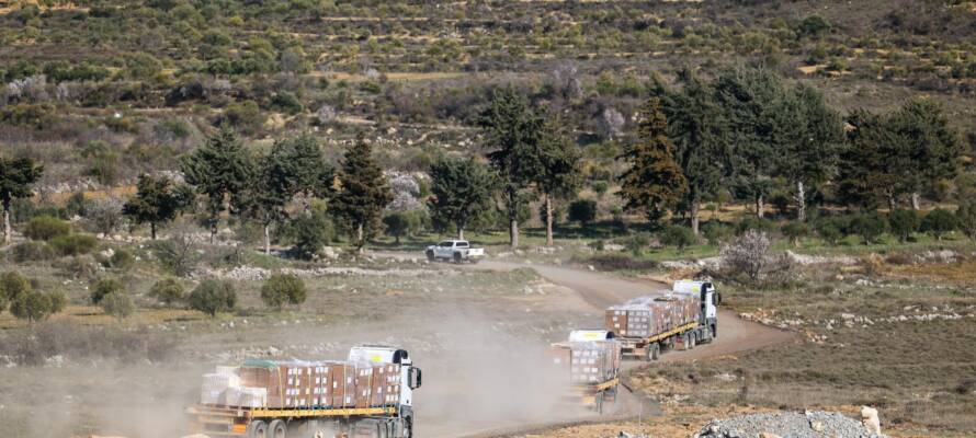 druze