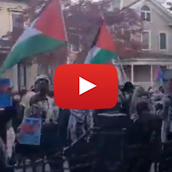 Anti-Israel protesters at Yale
