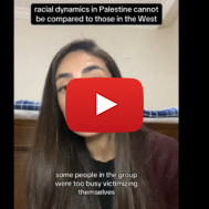 Palestinian complains about blacks