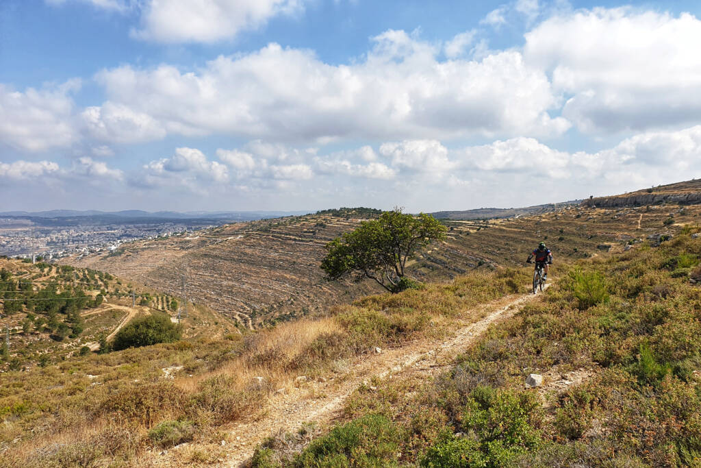 The Patriarchs Route