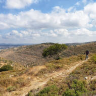 The Patriarchs Route