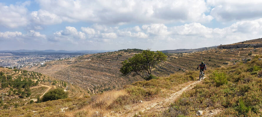 The Patriarchs Route