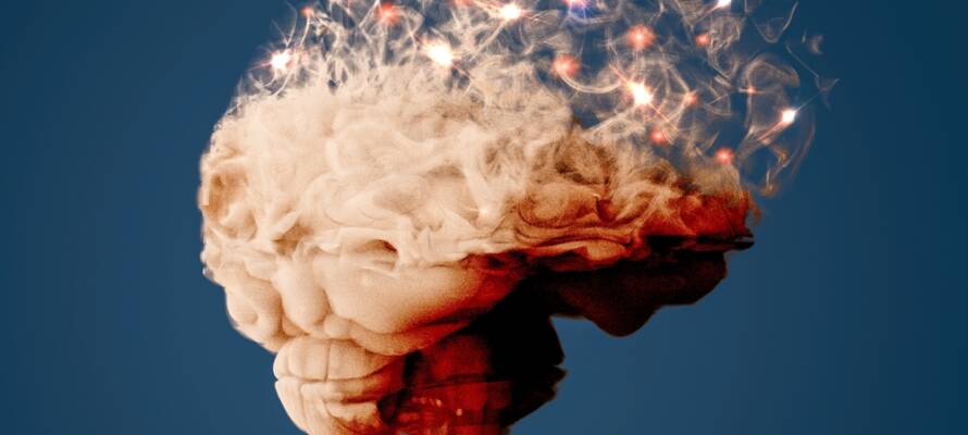 Brain degenerative